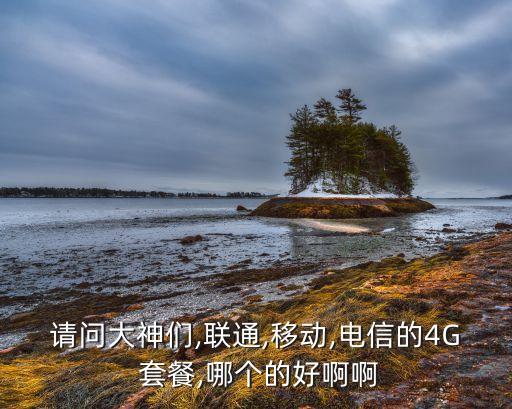 請(qǐng)問(wèn)大神們,聯(lián)通,移動(dòng),電信的4G 套餐,哪個(gè)的好啊啊