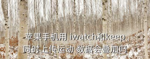 蘋果手機(jī)用 iwatch和keep同時(shí)上傳運(yùn)動(dòng) 數(shù)據(jù)會(huì)疊加嗎