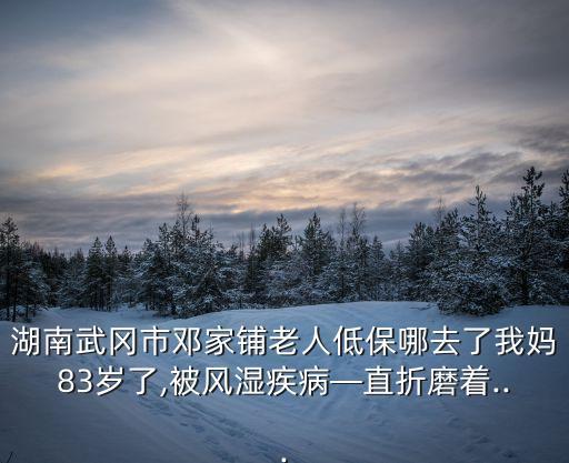 數(shù)據(jù)米鋪 待遇