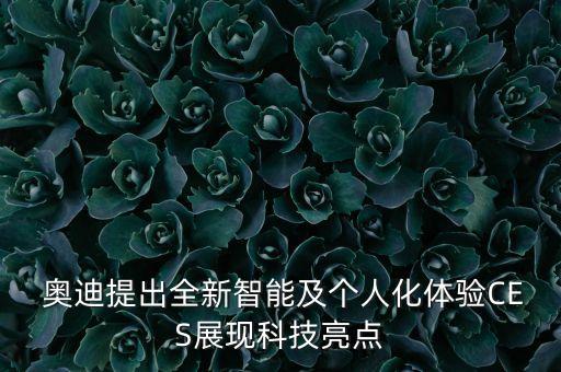  奧迪提出全新智能及個人化體驗CES展現(xiàn)科技亮點