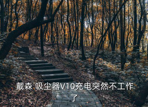 戴森吸塵器會(huì)自動(dòng)停止