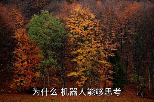 為什么 機器人能夠思考