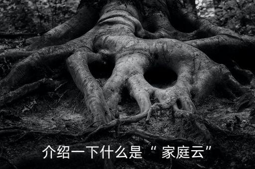 介紹一下什么是“ 家庭云”