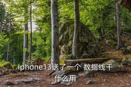 數(shù)據(jù)線做什么,廢棄的數(shù)據(jù)線可以做什么