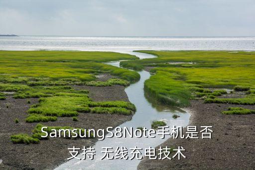 SamsungS8Note手機是否支持 無線充電技術(shù)