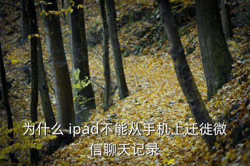 為什么 ipad不能從手機(jī)上遷徙微信聊天記錄