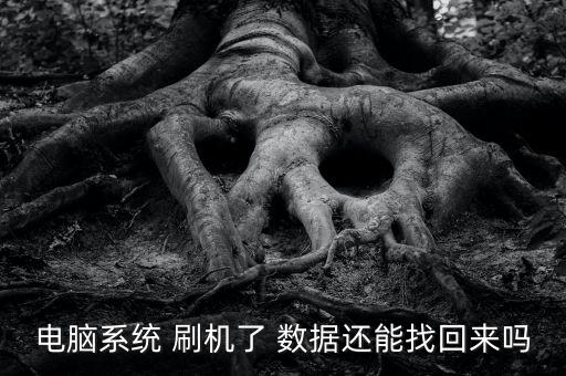 電腦系統(tǒng) 刷機(jī)了 數(shù)據(jù)還能找回來(lái)嗎