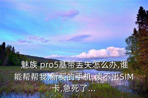  魅族 pro5基帶丟失怎么辦,誰能幫幫我,新買的手機(jī),讀不出SIM卡,急死了...