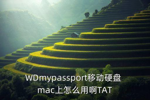 WDmypassport移動硬盤 mac上怎么用啊TAT