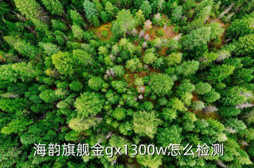  海韻旗艦金gx1300w怎么檢測(cè)