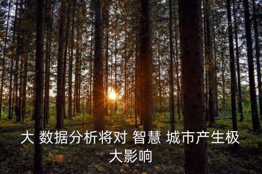 大 數(shù)據(jù)分析將對(duì) 智慧 城市產(chǎn)生極大影響
