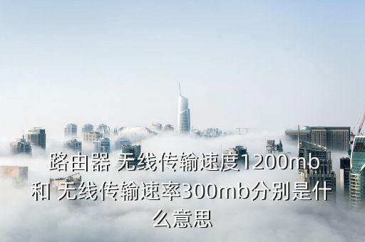  路由器 無(wú)線(xiàn)傳輸速度1200mb和 無(wú)線(xiàn)傳輸速率300mb分別是什么意思