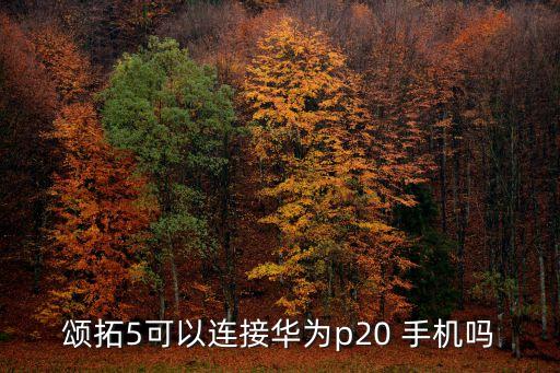 松拓 同步到手機(jī)的數(shù)據(jù),松拓步數(shù)與手機(jī)同步