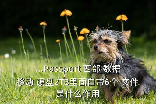 ...Passport 西部 數(shù)據(jù)移動 硬盤2TB里面自帶6個 文件是什么作用