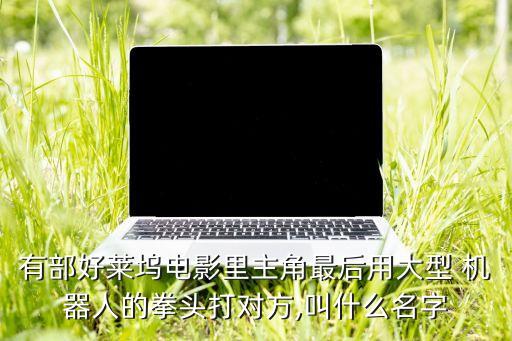 有部好萊塢電影里主角最后用大型 機(jī)器人的拳頭打?qū)Ψ?叫什么名字