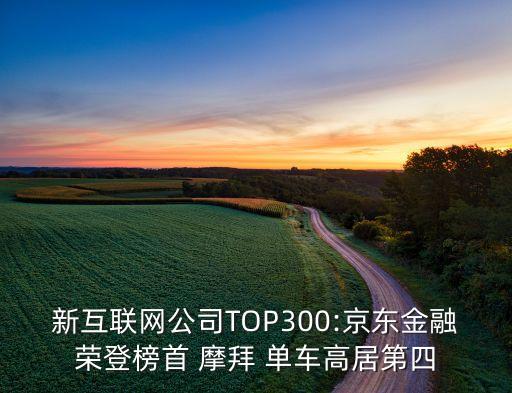 新互聯(lián)網(wǎng)公司TOP300:京東金融榮登榜首 摩拜 單車高居第四