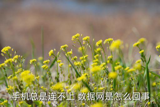 手機(jī)無法獲取數(shù)據(jù),怎么把手機(jī)數(shù)據(jù)導(dǎo)入另一個(gè)手機(jī)