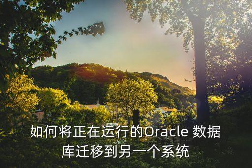 如何將正在運行的Oracle 數(shù)據(jù)庫遷移到另一個系統(tǒng)