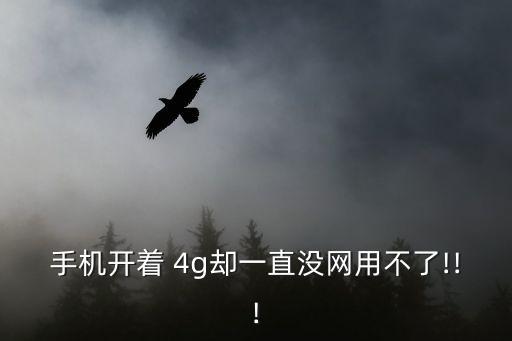 手機開著 4g卻一直沒網(wǎng)用不了!!!