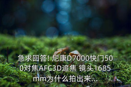 急求回答! 尼康D7000快門(mén)500對(duì)焦AFC3D追焦 鏡頭1685mm為什么拍出來(lái)...