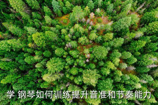 學(xué) 鋼琴如何訓(xùn)練提升音準(zhǔn)和節(jié)奏能力