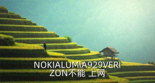 lumia929電信數(shù)據(jù)上網(wǎng)設(shè)置