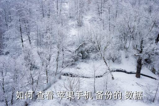 如何 查看 蘋果手機 備份的 數(shù)據(jù)