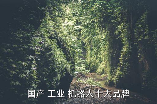 國產(chǎn) 工業(yè) 機器人十大品牌