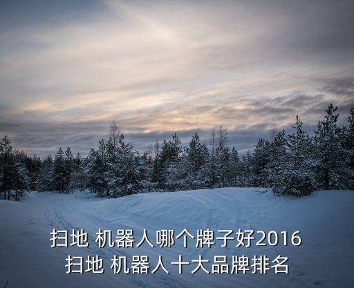  掃地 機器人哪個牌子好2016 掃地 機器人十大品牌排名