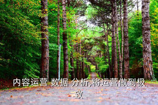 內(nèi)容運營 數(shù)據(jù) 分析,將運營做到極致