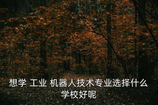 想學(xué) 工業(yè) 機器人技術(shù)專業(yè)選擇什么學(xué)校好呢