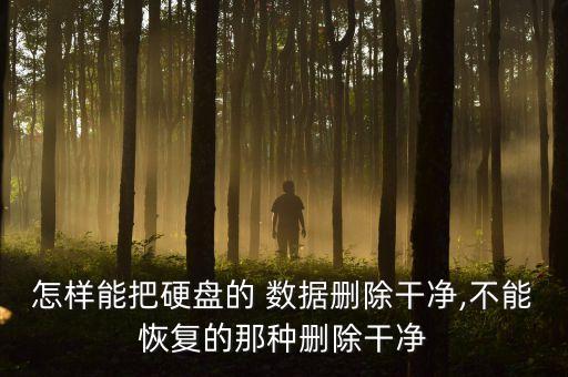 怎樣能把硬盤(pán)的 數(shù)據(jù)刪除干凈,不能恢復(fù)的那種刪除干凈