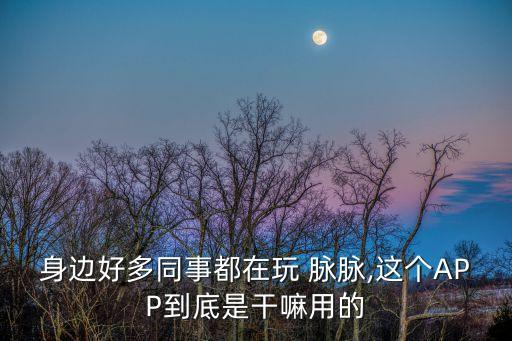 身邊好多同事都在玩 脈脈,這個(gè)APP到底是干嘛用的