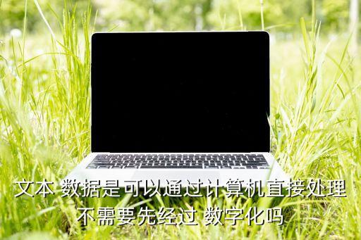 文本 數(shù)據(jù)是可以通過計(jì)算機(jī)直接處理不需要先經(jīng)過 數(shù)字化嗎