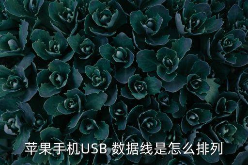 數(shù)據(jù)模塊線順序,電話模塊打線順序圖片