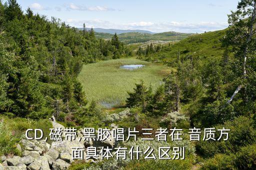 CD,磁帶,黑膠唱片三者在 音質(zhì)方面具體有什么區(qū)別