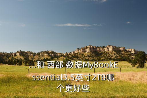 西部數(shù)據(jù)2t的哪個(gè)好,希捷 西部數(shù)據(jù) 哪個(gè) 可靠