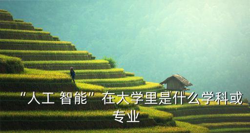 “人工 智能”在大學里是什么學科或 專業(yè)