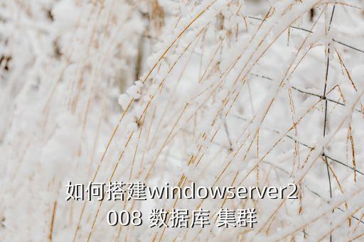 數(shù)據(jù)庫 硬件集群,sqlserver數(shù)據(jù)庫集群