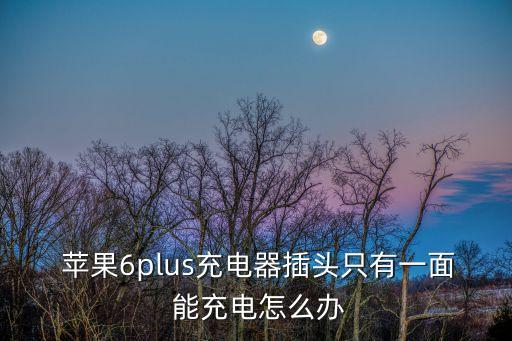  蘋果6plus充電器插頭只有一面 能充電怎么辦