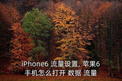 蘋果6開啟數(shù)據(jù)流量監(jiān)控,蘋果手機流量監(jiān)控在哪里設(shè)置