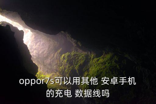 安卓數(shù)據(jù)線(xiàn)有分快充嗎