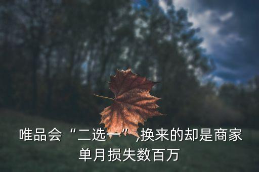  唯品會(huì)“二選一”,換來的卻是商家單月?lián)p失數(shù)百萬