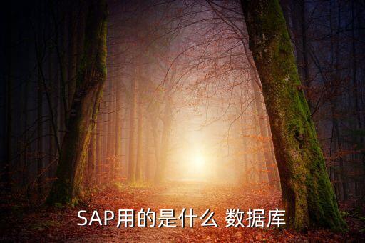 SAP用的是什么 數(shù)據(jù)庫