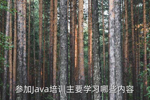 參加Java培訓主要學習哪些內(nèi)容