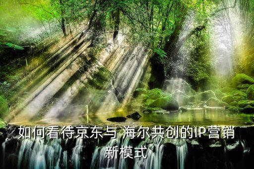 如何看待京東與 海爾共創(chuàng)的IP營銷新模式