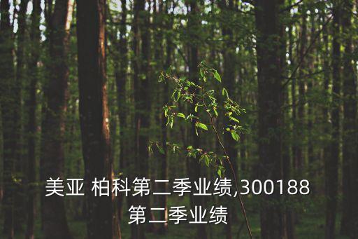 美亞 柏科第二季業(yè)績,300188第二季業(yè)績