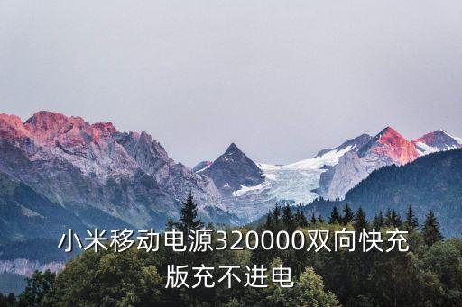  小米移動電源320000雙向快充版充不進電