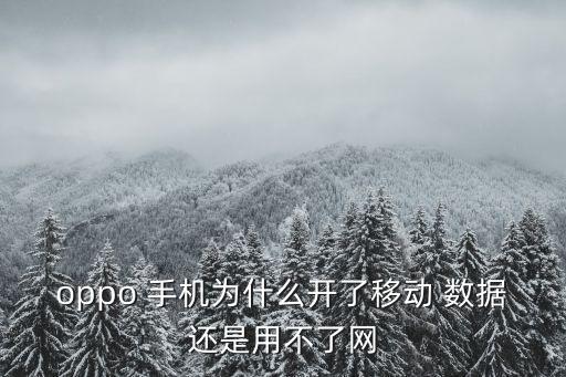 oppo 手機(jī)為什么開了移動 數(shù)據(jù)還是用不了網(wǎng)