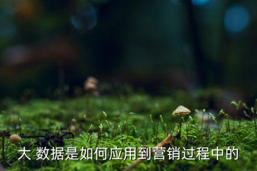 大 數(shù)據(jù)是如何應用到營銷過程中的